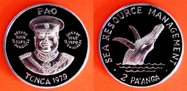 1979_2_PA_ANGA_BUCKELWAL_003